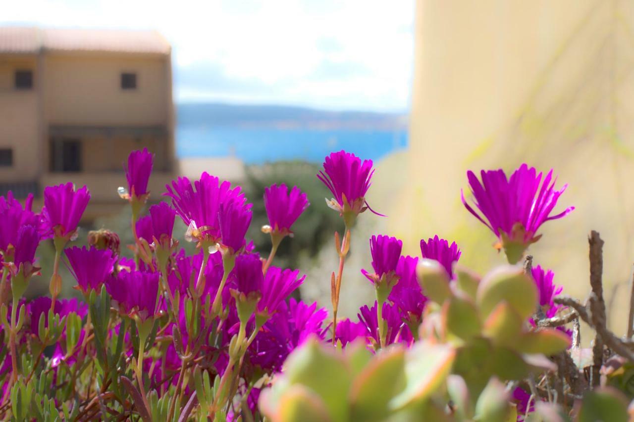 Homey Experience - Green Design Apartment La Maddalena  Buitenkant foto